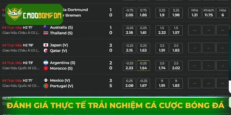 Đánh giá thực tế trải nghiệm cá cược bóng đá tại Dom88