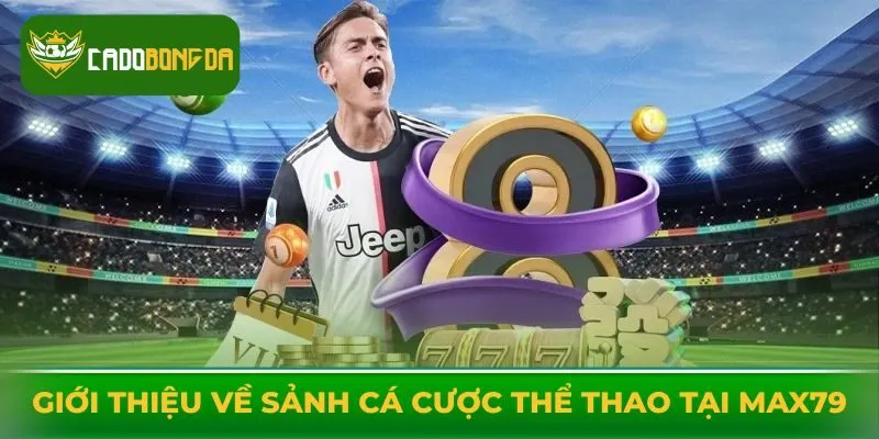 Giới thiệu về sảnh cá cược thể thao tại Max79